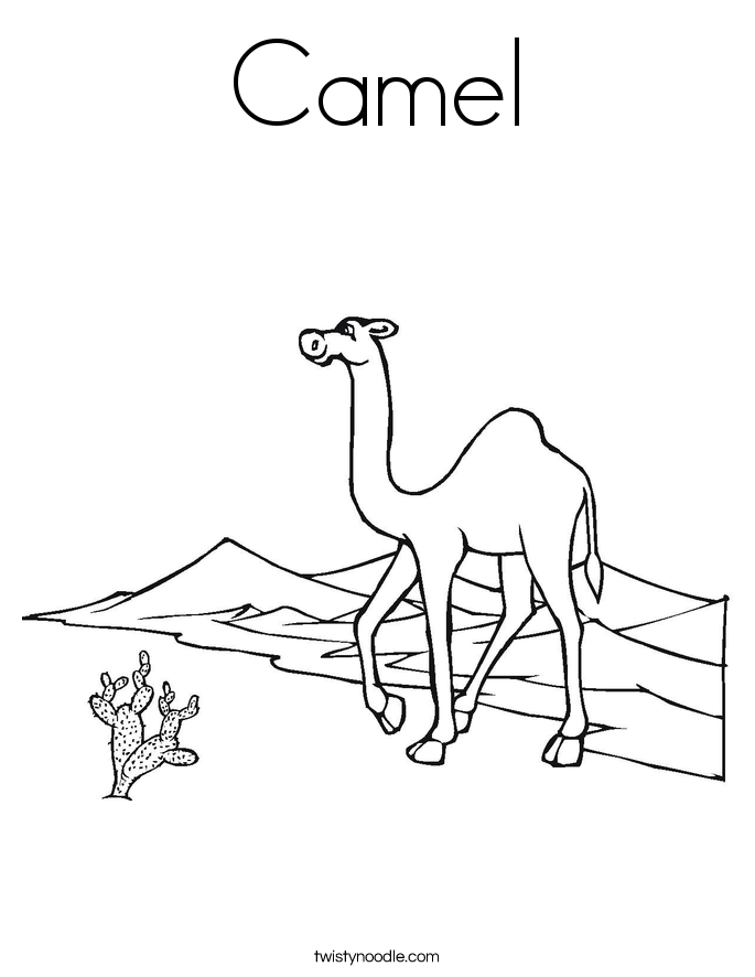 Camel Coloring Page 685x886 Camel Coloring Page