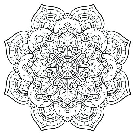 440x440 Camera Coloring Page Cool Adult Coloring Pages For Floral Camera