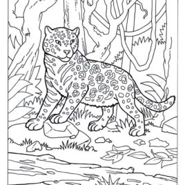 Coloring Pages Of Camouflage Animals Archives 268x268 Coloring Pages Of Camouflage Animals Archives