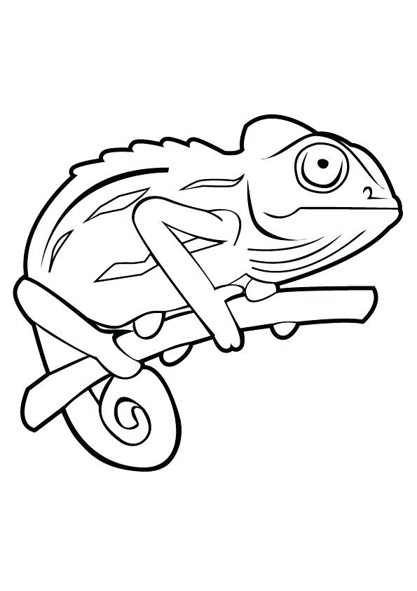 Stunning Camouflage Coloring Pages Grass Coloring Pages As 595x842 Stunning Camouflage Coloring Pages Grass Coloring Pages As