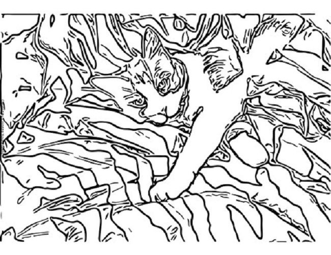 Camo Pattern Coloring Pages Coloring Pages Camo 650x501 Camo Pattern Coloring Pages Coloring Pages Camo