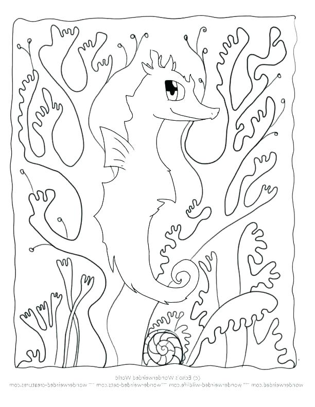 612x792 Camouflage Coloring Pages Camouflage Camouflage Colouring Pages