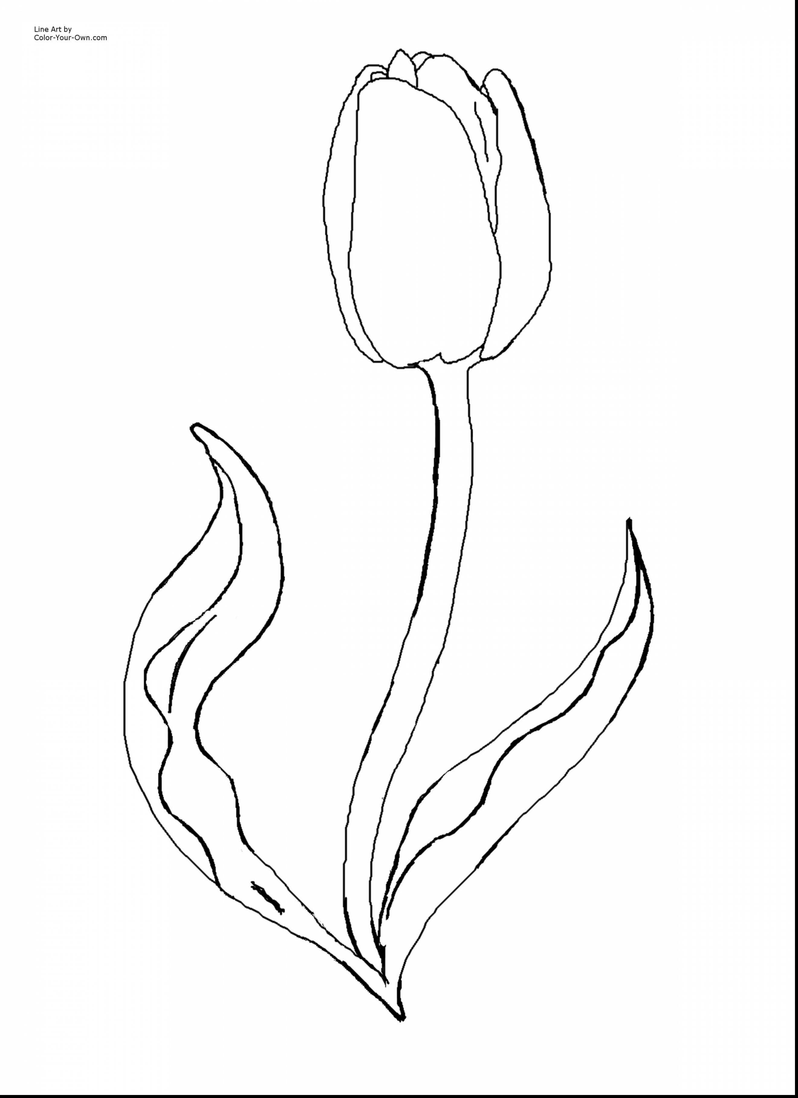 Flower Watering Can Coloring Pages 2640x3630 Flower Watering Can Coloring Pages