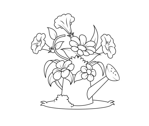 Watering Can Coloring Page Drawing Board Weekly 619x523 Watering Can Coloring Page Drawing Board Weekly