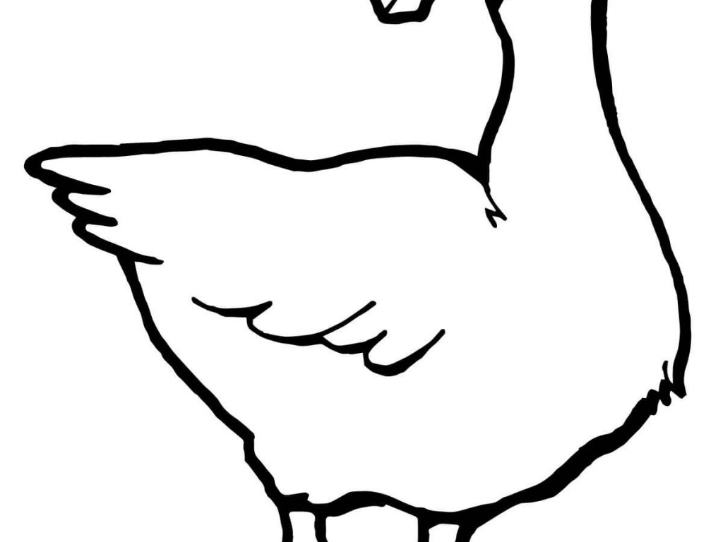 1024x768 Goose Coloring Page Free Printable Pages Gooses Animals Sheets