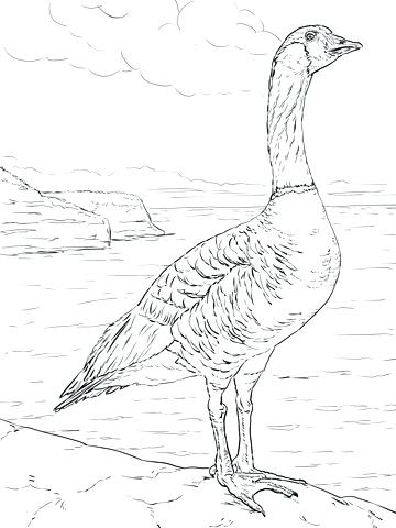 360x480 Goose Coloring Page Goose Coloring Page Mother Goose Printable