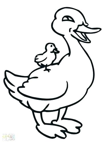 375x500 Goose Coloring Page Image For B Spider Coloring Page Flying Canada