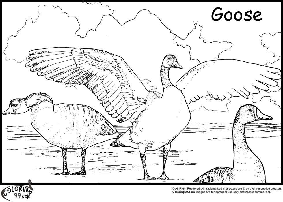 980x700 Goose Coloring Pages Team Colors