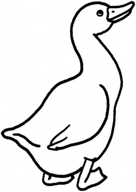 580x818 Goose Coloring Pages 4