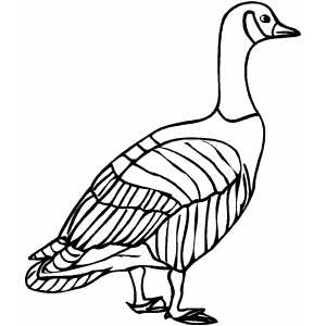 300x300 Old Goose Coloring Sheet