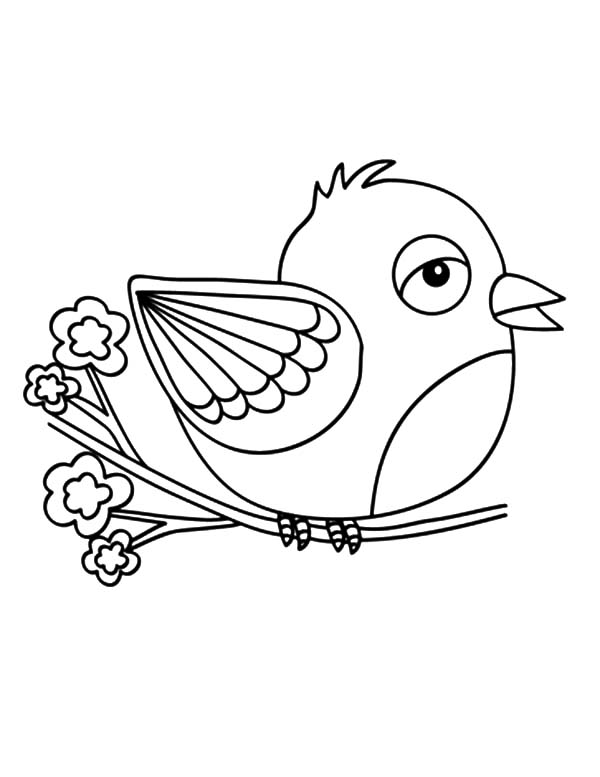 600x777 Canary Bird Begin To Fly Coloring Pages Best Place To Color