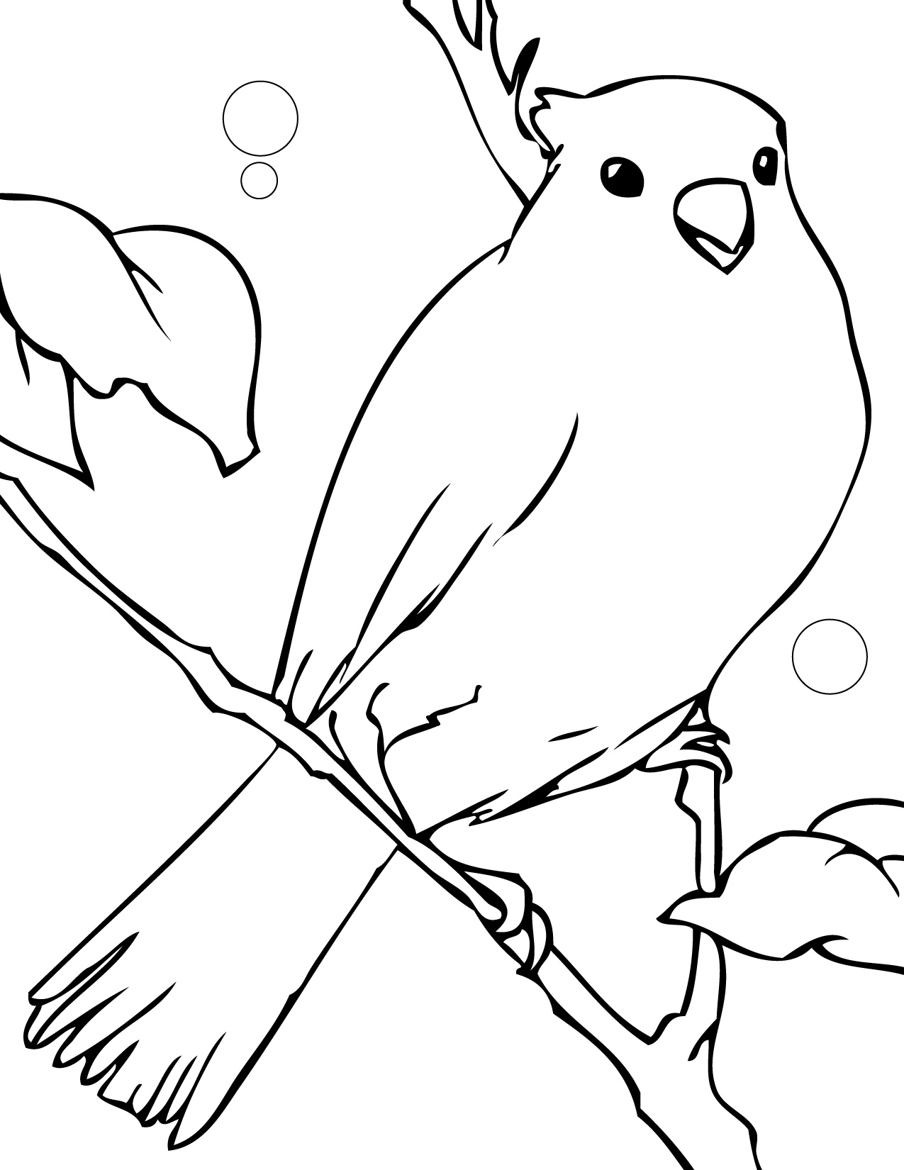 1275x1650 Canary Coloring Page