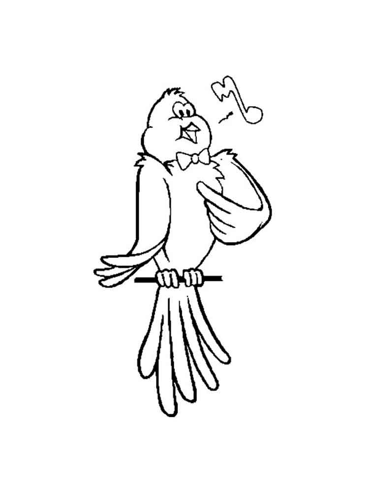 750x1000 Canary Coloring Pages. Download And Print Canary Coloring Pages
