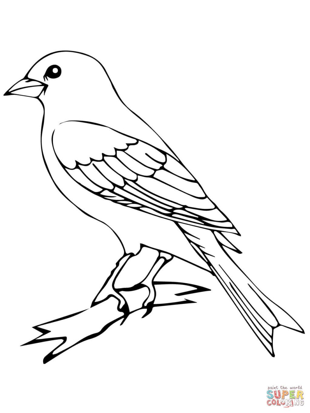 1024x1365 Perched Canary Bird Coloring Page Free Printable Pages X
