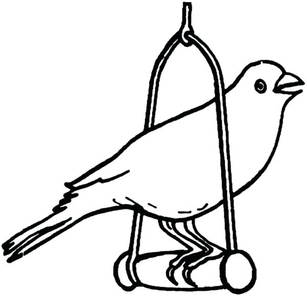 600x579 Pet Coloring Pages Canary Bird Canary Bird Pet Coloring Pages