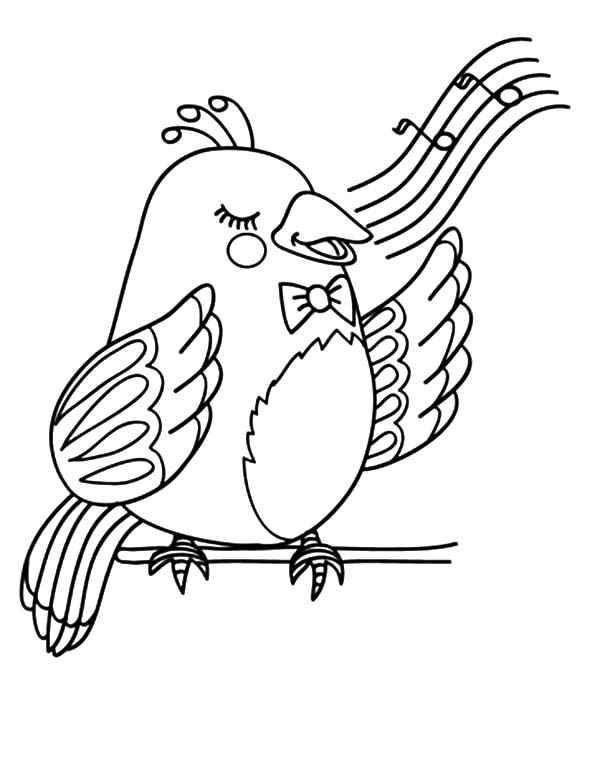 600x777 Canary Bird Beautiful Voice Coloring Pages Best Place To Color