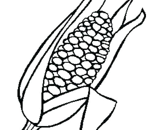 Candy Corn Coloring Pages Corn Coloring Page Corn Coloring Page X 500x425 Candy Corn Coloring Pages Corn Coloring Page Corn Coloring Page X