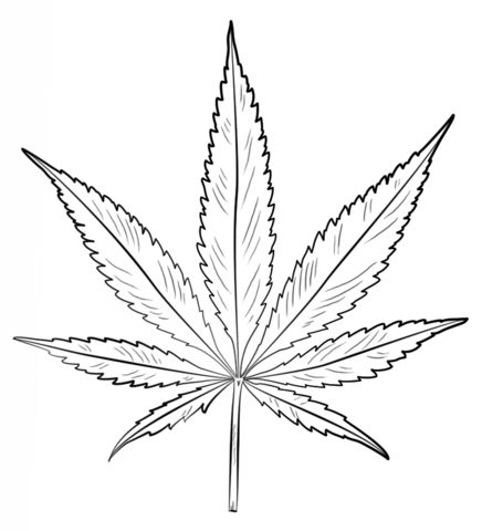436x480 Weed Leaf Coloring Pages