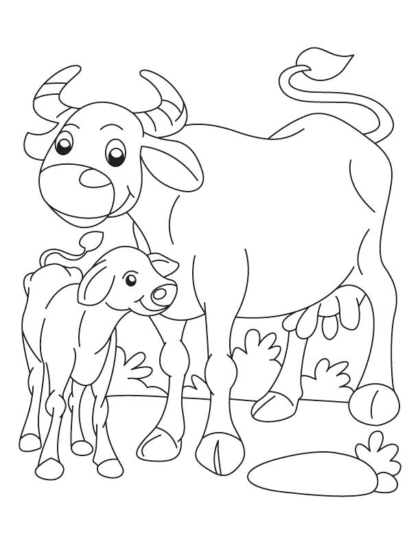 612x792 Buffalo Coloring Page Buffalo And Calf Coloring Page Buffalo