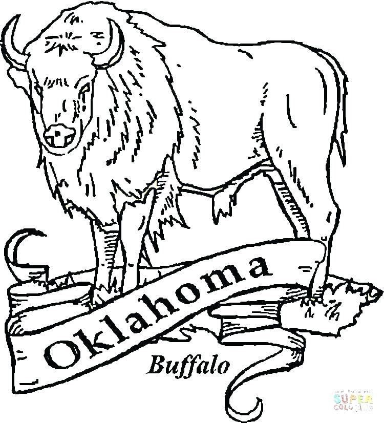 750x826 Buffalo Coloring Page Buffalo Coloring Page Buffalo Coloring Page