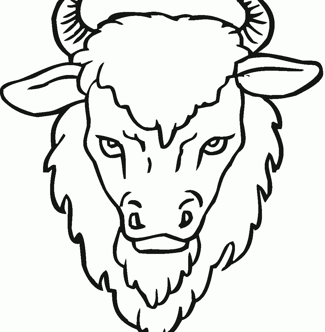 1057x1080 New Bison Coloring Page Gallery Printable Coloring Sheet