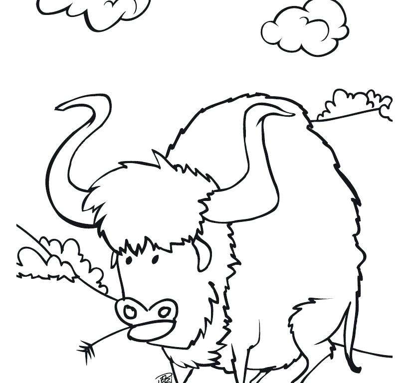 820x768 Bison Coloring Pages Buffalo Coloring Page Bison Printable