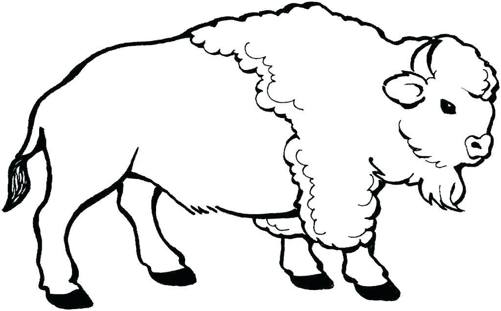 1024x636 Buffalo Coloring Page Buffalo Coloring Page Download Large Image