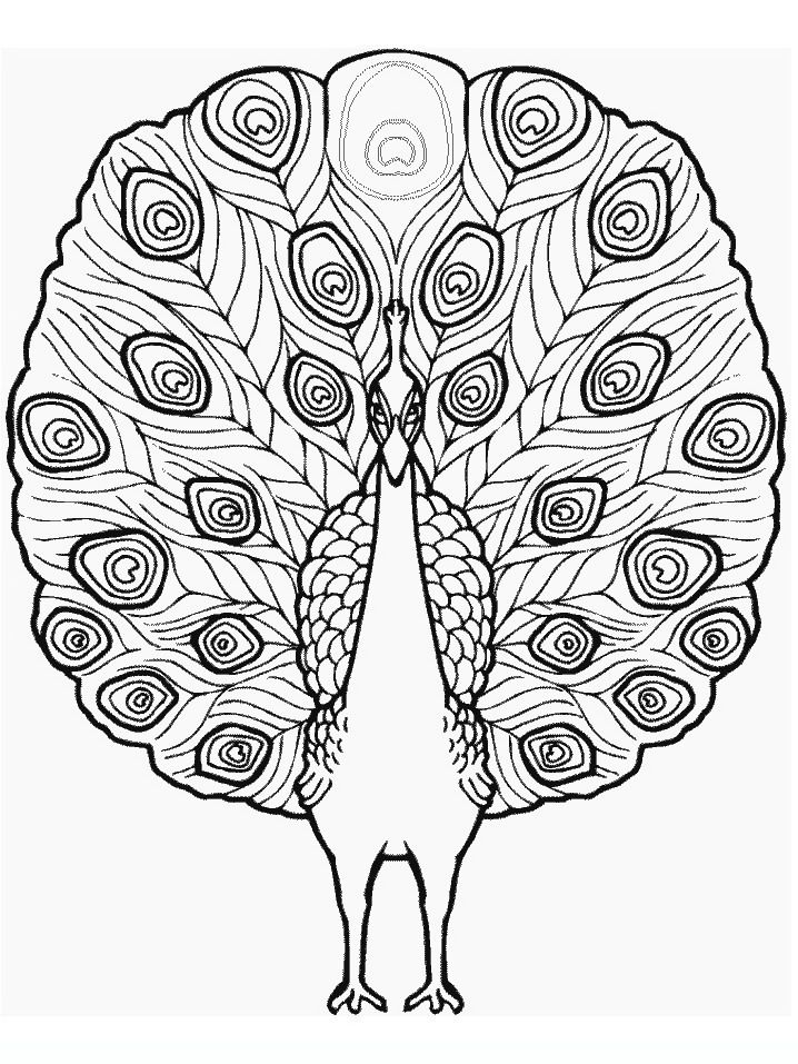 21 Best Coloring Images On Coloring Books, Colouring 718x957 21 Best Coloring Images On Coloring Books, Colouring