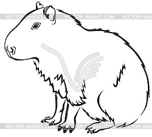 Free Coloring Page Of The Capybara In The Wild. Reader Bee Free 300x270 Free Coloring Page Of The Capybara In The Wild. Reader Bee Free