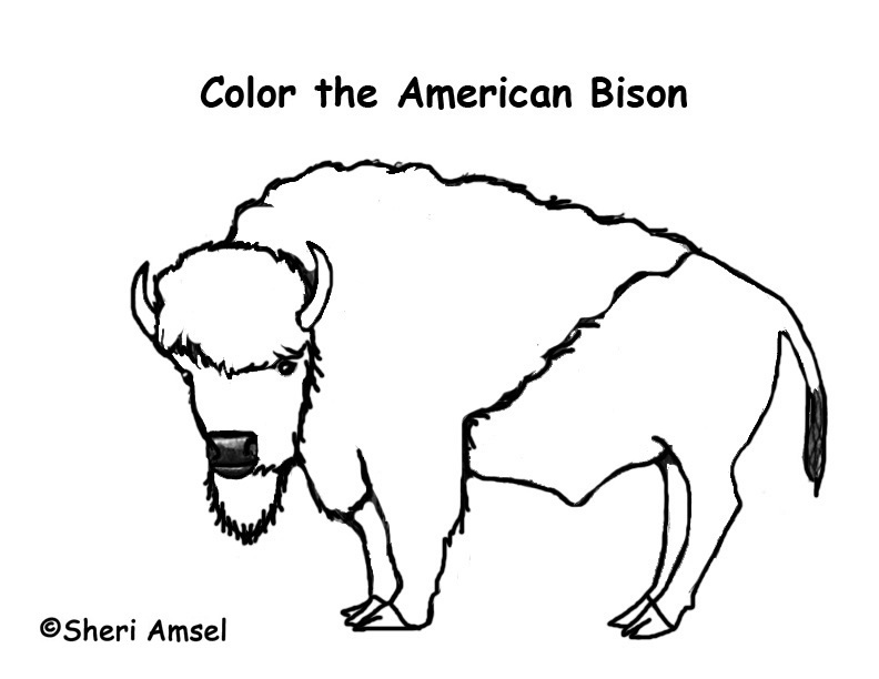 Bison Coloring Pages Coloring Page For Kids Kids Coloring 792x612 Bison Coloring Pages Coloring Page For Kids Kids Coloring