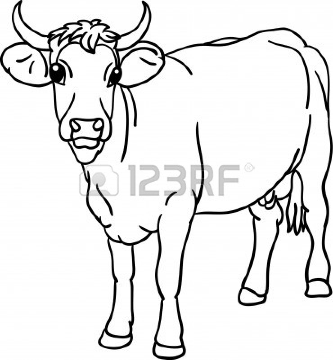 Adult Cow Face Drawing Cow Face Line Drawing. Cow Face Drawing 1110x1203 Adult Cow Face Drawing Cow Face Line Drawing. Cow Face Drawing