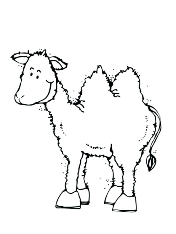 Camel Coloring Pages Impair.co 594x792 Camel Coloring Pages Impair.co