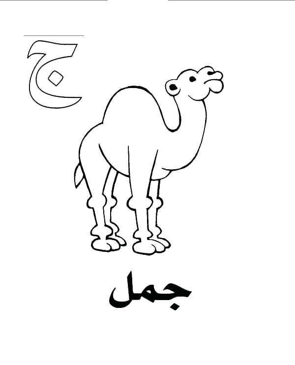 Camel Coloring Page Camel And Baby Camel Coloring Page Dromedary 600x742 Camel Coloring Page Camel And Baby Camel Coloring Page Dromedary
