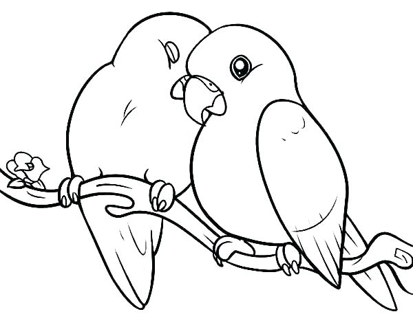 Cardinal Bird Coloring Page Coloring Page Bird Cardinal Bird 600x457 Cardinal Bird Coloring Page Coloring Page Bird Cardinal Bird