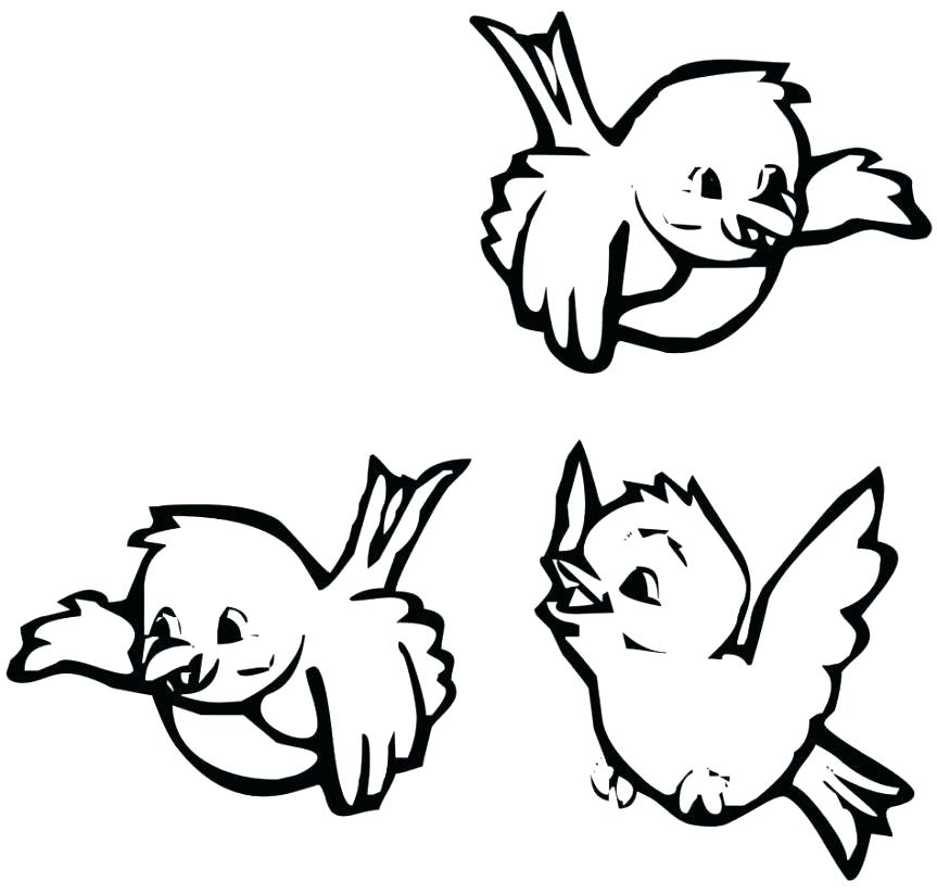 Cardinal Bird Coloring Page Ocean Animal Coloring Pages 863x823 Cardinal Bird Coloring Page Ocean Animal Coloring Pages