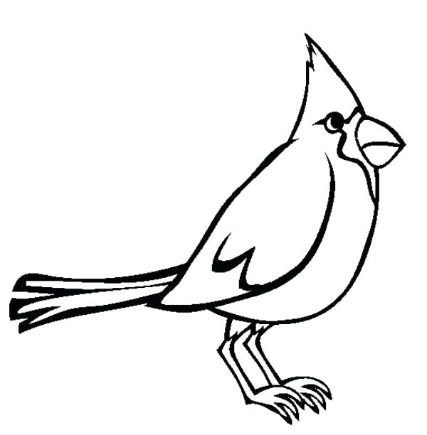 Cardinal Bird Coloring Page Printable Sound Of Sun 600x612 Cardinal Bird Coloring Page Printable Sound Of Sun
