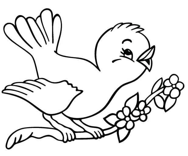 Cardinal Bird Coloring Page Winter Birds Coloring Pages Page Free 618x513 Cardinal Bird Coloring Page Winter Birds Coloring Pages Page Free