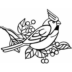 Angry Cardinal Bird Coloring Page 300x300 Angry Cardinal Bird Coloring Page
