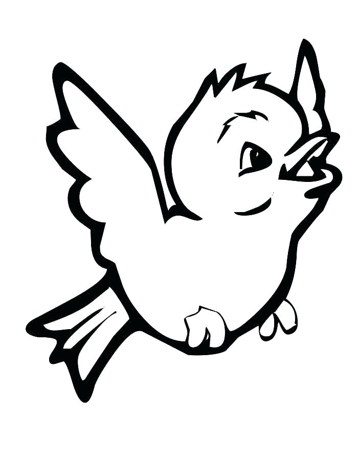 Cardinal Bird Coloring Page Bird Coloring Pages Printable Coloring 700x906 Cardinal Bird Coloring Page Bird Coloring Pages Printable Coloring