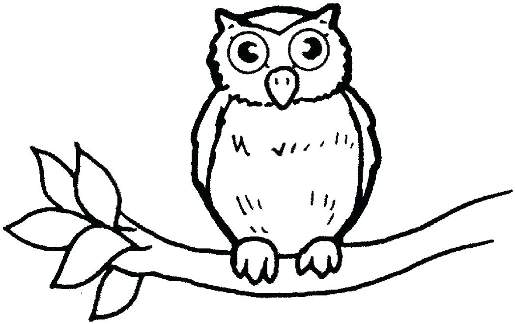 Cardinal Bird Coloring Page Bird Coloring Pages To Print Wild 1048x659 Cardinal Bird Coloring Page Bird Coloring Pages To Print Wild