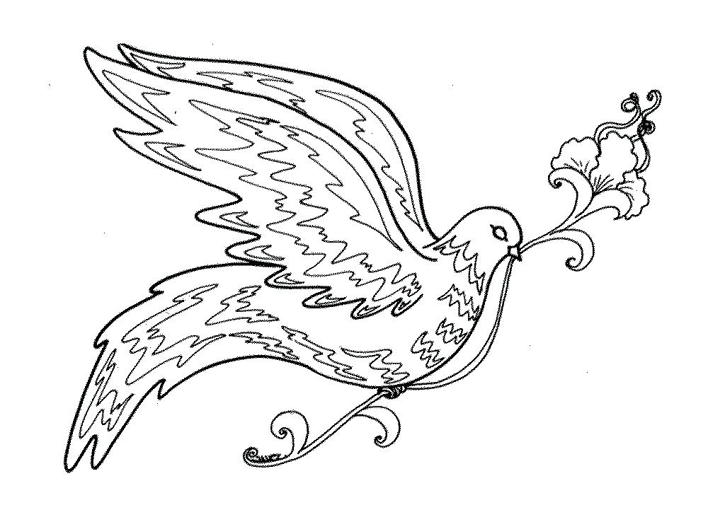 Cardinal Coloring Pages Coloring Bird Coloring Pages For Adults 1000x714 Cardinal Coloring Pages Coloring Bird Coloring Pages For Adults