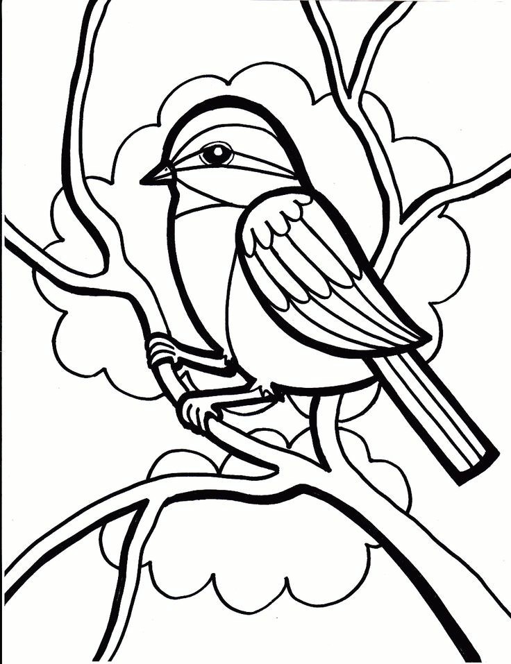 Luxury Cardinal Coloring Page Coloring Ws 736x957 Luxury Cardinal Coloring Page Coloring Ws
