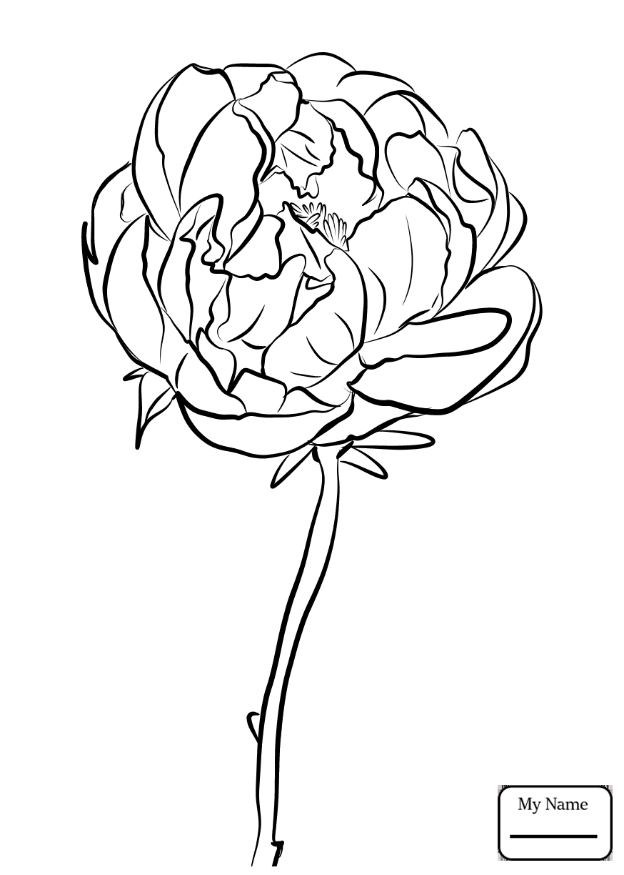 This Is Why Cardinal Coloring Page Is So Famous! Cardinal 874x1224 This Is Why Cardinal Coloring Page Is So Famous! Cardinal