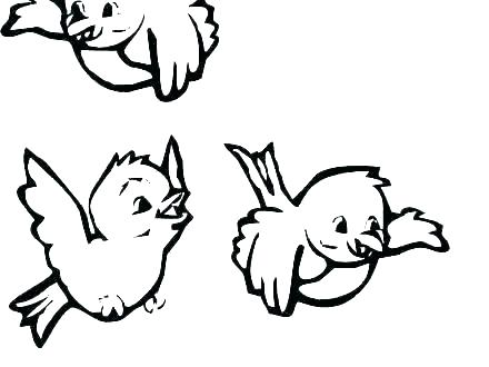 Cardinal Coloring Page 440x330 Cardinal Coloring Page