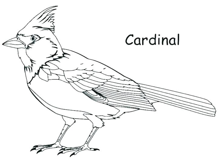 Cardinals Baseball Coloring Pages 720x540 Cardinals Baseball Coloring Pages