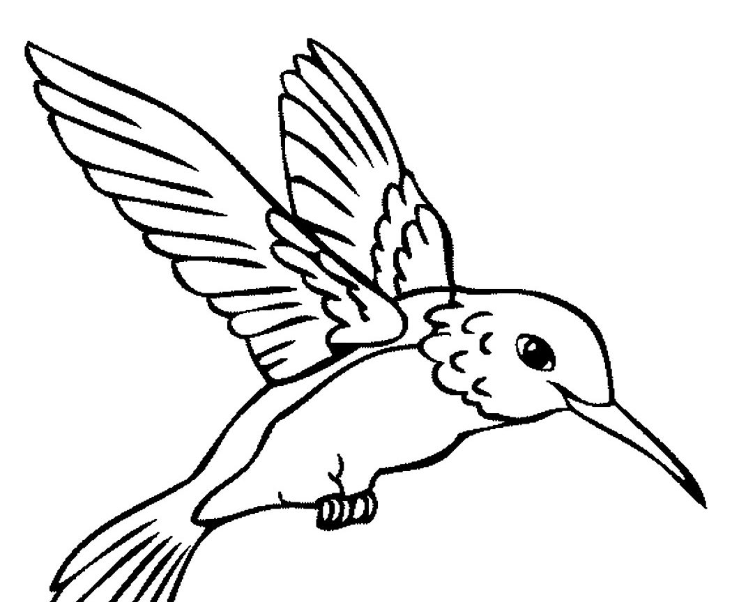 1050x864 St Louis Cardinals Fredbirdoring Page Football Helmet Cardinal