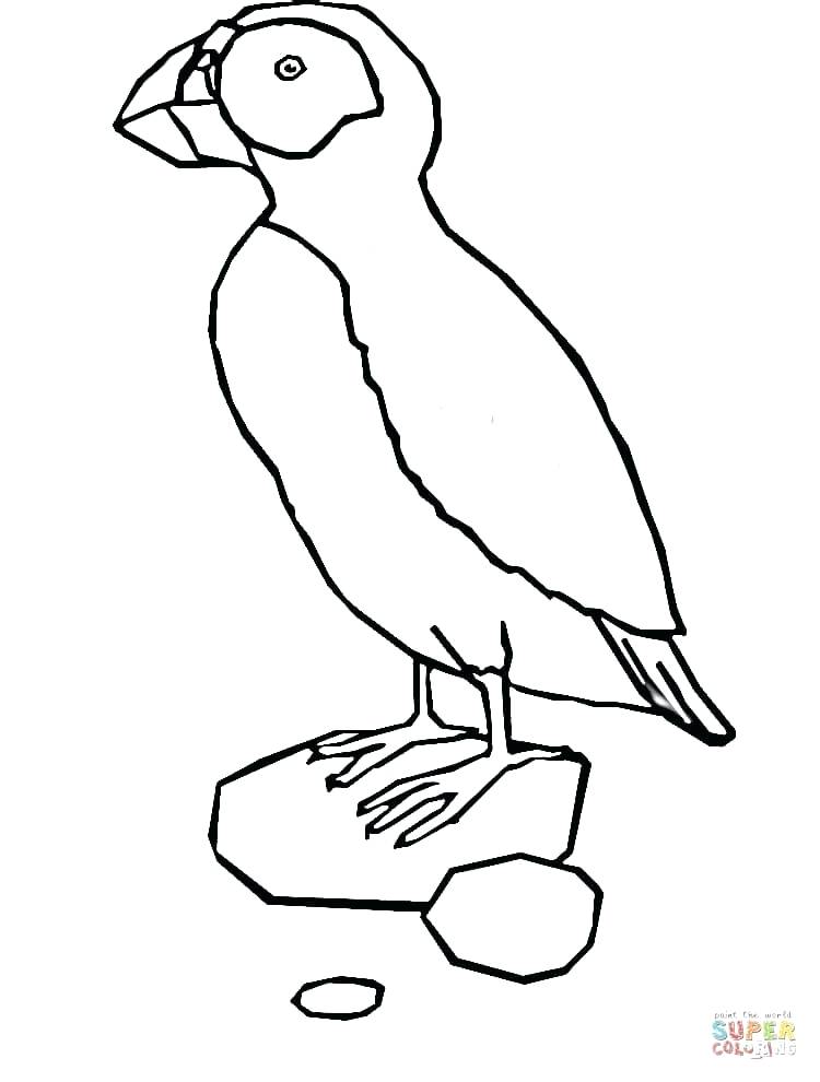 Puffin Coloring Page Cardinal Coloring Pages Cardinal Coloring 750x990 Puffin Coloring Page Cardinal Coloring Pages Cardinal Coloring