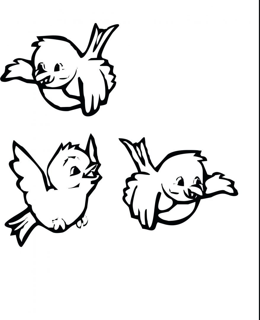 Unusual Cardinal Coloring Pages For Kids Printable Of Beautiful 878x1080 Unusual Cardinal Coloring Pages For Kids Printable Of Beautiful