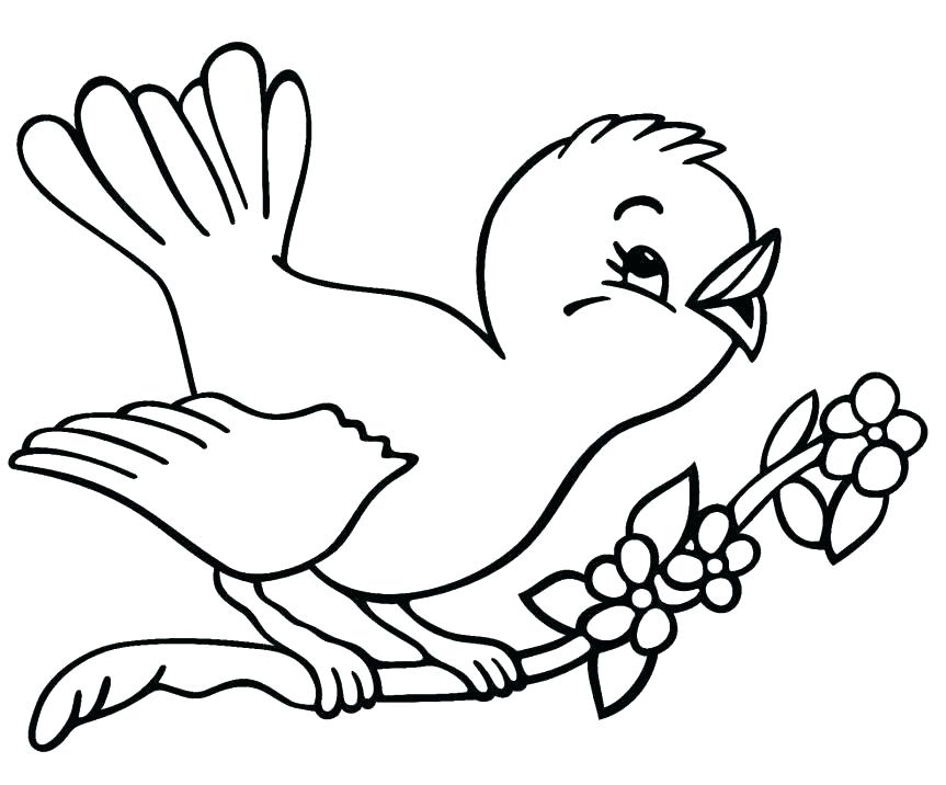 Cardinal Pictures To Color 863x716 Cardinal Pictures To Color