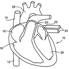 268x268 Cardiovascular System Coloring Page Archives